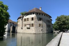 IMG_3781-scaled